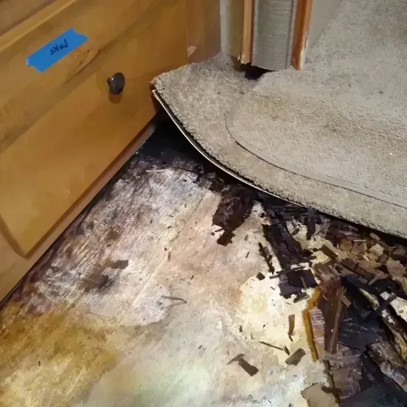 Wood Floor Water Damage in Rochester, PA